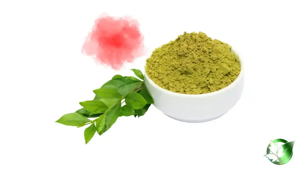 Bulk Red Henna | Suppliers | Wholesale | ParsaFood Global